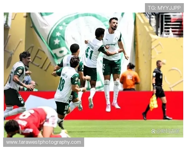 南美足球长期格局：传统强队持续主导，区域竞争格局保持稳定