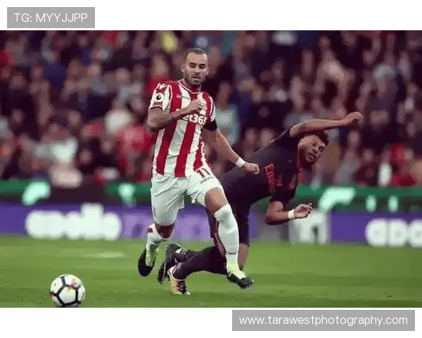 南安普顿本赛季冲击欧战资格表现稳健