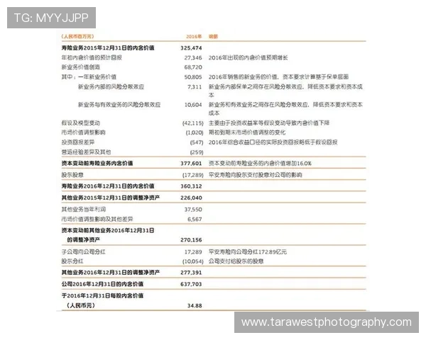 卡马文加的战术价值被低估了吗？全面性与球场影响力深度解析